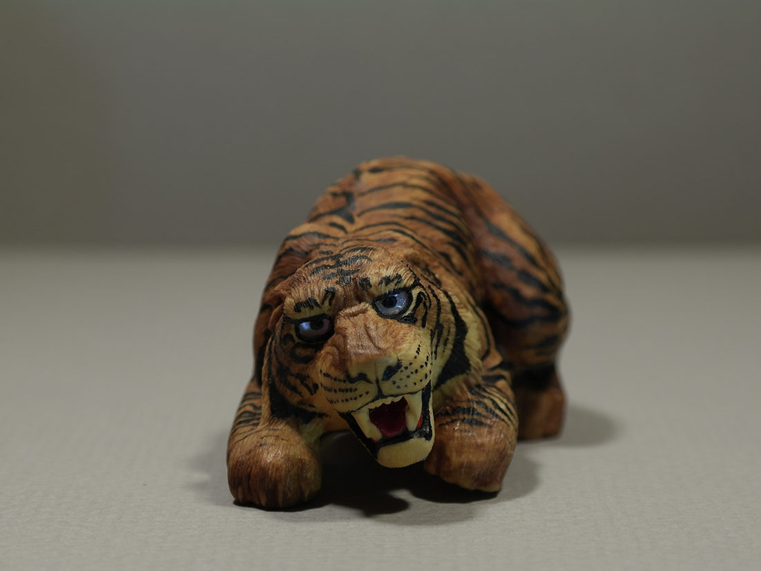 Tiger 002
